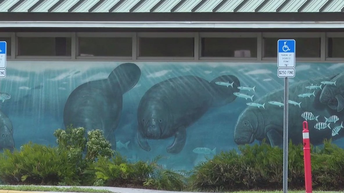 Manatee death investigation report released
